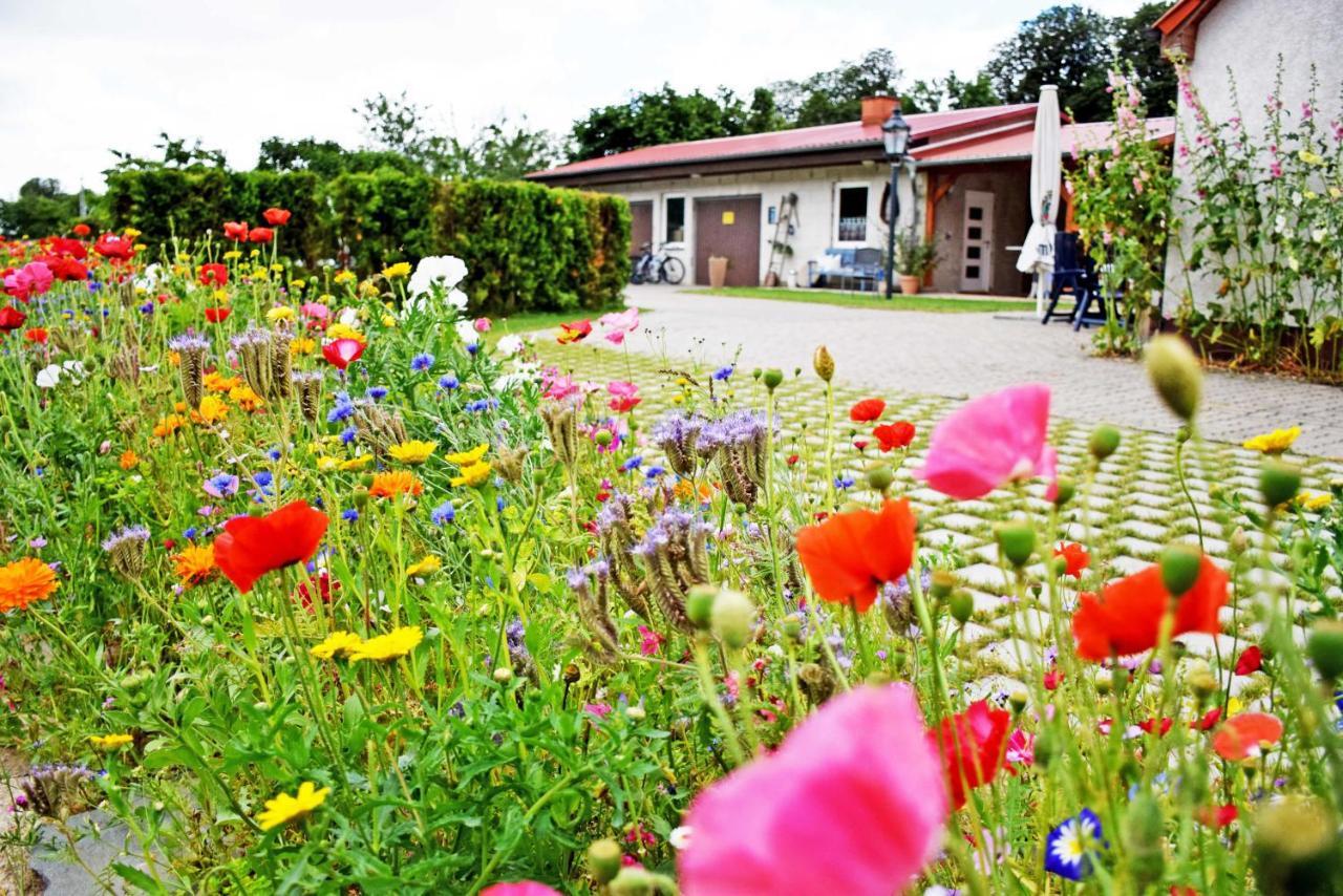 Ferienwohnungen Auf Dem Pommernhof Samtens Exteriér fotografie