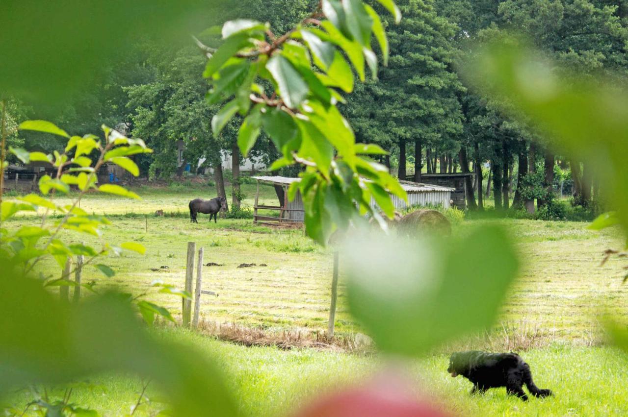 Ferienwohnungen Auf Dem Pommernhof Samtens Exteriér fotografie